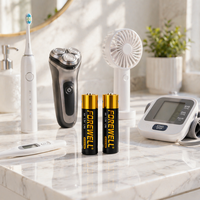 Baterai Alkali FOREWELL Energi Tinggi LR6 AA 1.5V Daya Tahan Stabil untuk Remote Control & Senter Grosir