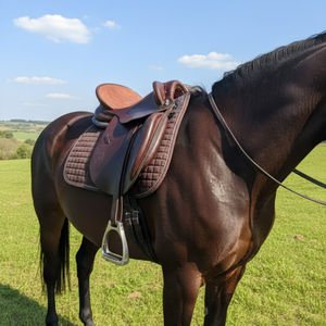 Selle Western Artisanale de Haute Qualité |   Construction en cuir durable |   Équipement de confort idéal pour la conduite sur sentiers et dans les ranchs |   2026 Premium - Product Image 1