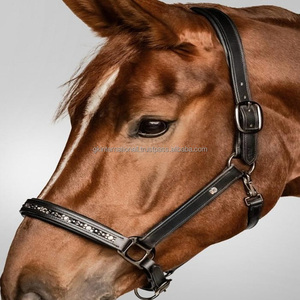 Cabestro de caballo de cuero Premium de alta calidad, único y elegante con cristales ostentosos, Halter de carreras ecuestres de caballo decorativo elegante - Product Image 6