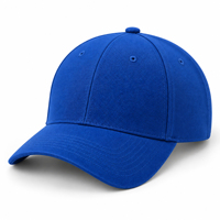 Casquette de sport bleu roi en gros, visière incurvée, 6 panneaux, réglable, respirante, imperméable, avec boucle argentée en cuivre