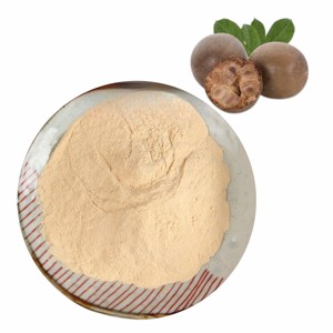 Bulk Quality Monk Fruit Extract 50% Powder Food Grade Fine <b>Mesh</b> 100% Natural Monk Powder Premium Quality Sweetening Ingredient - Product Image 5