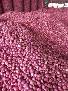<b>Fresh</b> Red Onion Whole Bulb Aromatic <b>Vegetable</b> 30cm 25kg Non-Peeled for Retail Grocery - Product Image 5