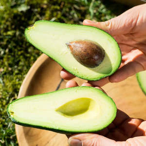 Aguacates Frescos de Granja, Productos Frescos, Aguacates Limpios y Clasificados, Suministro de Aguacates Frescos de Alta Calidad, Ahora Disponibles en Stock al por Mayor - Product Image 2