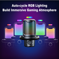 Mikrofon Kondensor Kardioid dengan Bracket Lengan Boom, Pencahayaan RGB, Ringan, USB Type-C, untuk PC Gaming, Live Streaming, dan Rekaman Suara