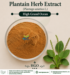 Suministro Directo de Fábrica HGO de Extracto Natural de Plátano (Plantago asiatica L.) Grado Alimenticio, Relación 4:1 5:1 10:1 20:1 100:1 200:1 - Product Image 1
