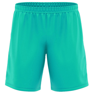 High Street Fashion Custom Sublimated Printing Mesh Cloth 100% Polyester Breathable Men's <b>Shorts</b> Elastic Waist Casual <b>Shorts</b> - Product Image 5