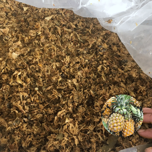 Piel de Piña Ensilada de Primera Calidad, Estándar Internacional, Suministro a Granel de Fabricante Vietnamita, Mejor Precio - Product Image 1