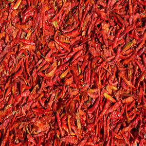 Chile Rojo Entero Indio Premium, Producto de Nueva Cosecha para Empaque de Especias al por Mayor, Distribución de Ingredientes Alimenticios - Product Image 4