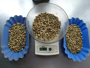 Café Vert Robusta PHALCO de Haute Qualité Grade 1 Tamis 16/18 Vietnam Meilleur Prix Prêt à l'Exportation en Sac de Jute - Product Image 2