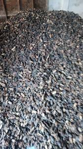 Tranches de Noni séchées transformées pour la préparation de thé et les applications alimentaires, avec une qualité stable et un approvisionnement à l'exportation - Product Image 6