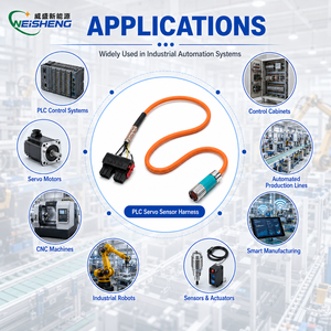 Rangkaian Kabel Kontrol Terproteksi Khusus PLC Servo Sensor Harness Industri OEM - Product Image 2