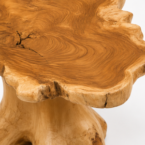 ARTERRA Premium Teak Tree <b>Trunk</b> <b>Coffee</b> <b>Table</b> Organic Salvaged Root Slab Accent <b>Table</b> Luxury Resort Furniture - Product Image 3
