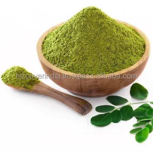 Wholesale High quality of Moringa leaf powder from India with different varieties and 100% Pure and Natural