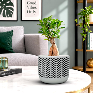 Maceta de Terracota con Diseño de Corazón Rosa Pálido, Hecha a Mano, Decorativa, con Orificio de Drenaje para Plantas de Interior, Sala de Estar - Product Image 5