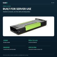 NVIDIA P40 24GB GDDR5 GPU, P40 24GB GDDR5 Server-Beschleuniger, P40 Rechenkarte für KI-Inferenz und Datenverarbeitung