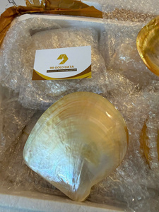 ถาดเปลือกหอยมุกธรรมชาติขัดเงา จานใส่ไข่ปลาคาเวียร์ งานฝีมือประณีต ของขวัญสุดหรู ขายส่ง - Product Image 2