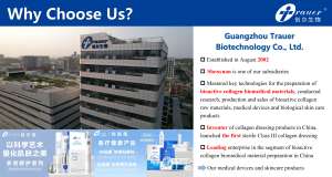 Стерильный лиофилизированный порошок ателлоколлагена типа I с тройной спиралью, полученный из сухожилий крупного рогатого скота, с содержанием эндотоксина <0,02 ЕД/мг - Product Image 6