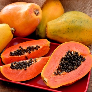 Papaya Orgánica Híbrida Roja Fresca al Mejor Precio, Dulce Natural, Producto al por Mayor de Alta Calidad Más Popular en Venta - Product Image 1