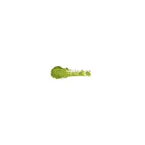 Matcha Ceremonial Orgánico, Mezcla de la Finca Kagoshima - Product Image 2