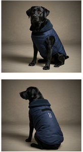 Chaqueta de Invierno para Perro, Diseño Moderno y Lujoso, Acolchada, Cosida a Máquina, Impermeable, Transpirable y Ecológica - Product Image 6