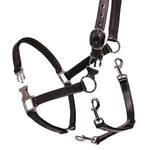 Équipement équestre en cuir de qualité supérieure, harnais intelligent pour cheval, boucles en acier inoxydable, dispositif de sécurité pour les produits d'équitation - Product Image 2