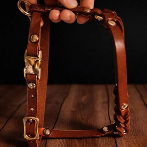 Wholesale Comfortable <b>braided</b> leather pet collar designed for everyday wear and outdoor dog adventures in reasonable price - Product Image 4