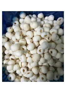 Lichi Congelado con Empaque Personalizado y Suministro Confiable para Importadores Internacionales de Alimentos en Todo el Mundo - Product Image 6
