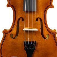 New 3/4 Acoustic Violin Set with Hard Case Bow Shoulder Rest Rosin Extra Strings and Sourdine