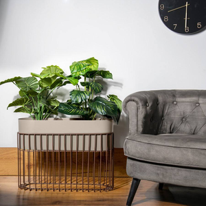 Black and gold metal planter, desktop plant stand, <b>small</b> indoor succulent <b>table</b> planter, available at wholesale prices. - Product Image 3