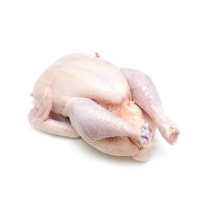 Pollo Entero Congelado Halal de Alta Calidad |   Pollo Congelado Entero y en Piezas Disponible para la Venta a Bajo Precio - Product Image 1