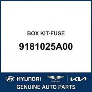Nouvelles pièces et accessoires automobiles et camionnettes Accent 9181025A00 - Product Image 1