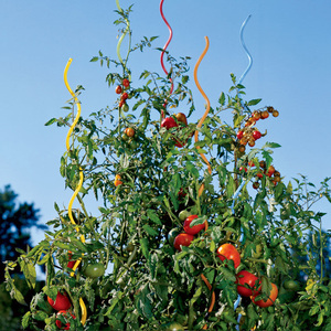 Stainless Steel <b>Tomato</b> Spiral Plant <b>Support</b> Rod - Product Image 3