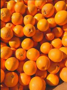 Naranjas Frescas de Primera Calidad, Cosechadas en Granja, Cítricos Jugosos para Suministro al por Mayor, Mercados Minoristas y Consumo Diario - Product Image 3
