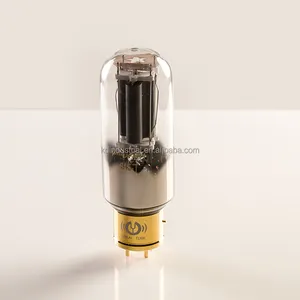 Amplificador de tubo de Audio, válvula de vacío 845-T para Kit de Amp de tubo DIY