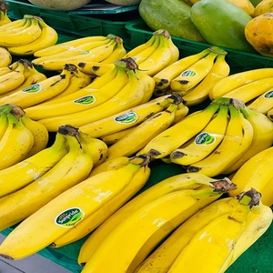 Qualité Supérieure - Bananes Cavendish Fraîches et Délicieuses - Bananes Vertes Naturelles de Style Tropical Cavendish Personnalisées - Product Image 1