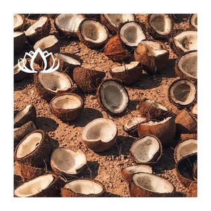 Carbón Activado de Cáscara de Coco en Trozos para Barbacoa 2026 - Product Image 1