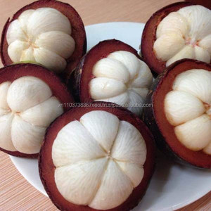 Mangoustan de qualité 1, mangoustan frais commun à vendre en provenance du Vietnam/Mme Laura +84 896 611 913 - Product Image 2