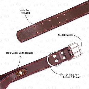 Collier pour chien en cuir premium rembourré avec un design à points fantaisie, boucle en argent poli, cuir de vachette souple rembourré - Product Image 4
