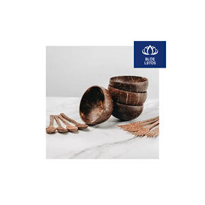 LIVRAISON IMMÉDIATE Bol en Coque de Noix de Coco Écologique, Sûr et Propre, Article Végétal Pur, Idéal pour Servir des Soupes et du Riz, Prix Compétitif - Product Image 1