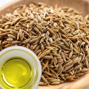 น้ำมันเมล็ดยี่หร่าเกรดพรีเมียมพิเศษ Terra Bio Naturals บรรจุภัณฑ์ขนาดตามสั่งสำหรับการใช้งานหลากหลายประเภท จากผู้ส่งออกทัมมิลนาฏูร์ - Product Image 2