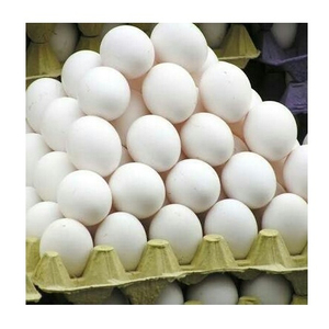 ไข่ไก่สดคุณภาพสูง บรรจุภัณฑ์แบบขายส่ง สำหรับธุรกิจบริการอาหาร - Product Image 2