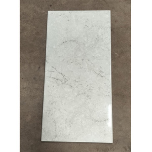 Carreaux muraux numériques en céramique de luxe 300x600 mm, aspect moderne élégant, carreaux muraux en céramique pour salle de bain et cuisine - Product Image 4
