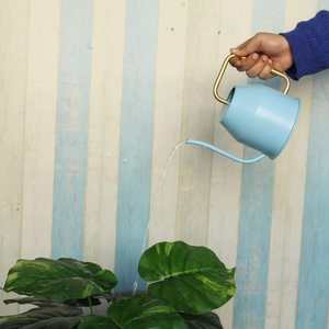 Arrosoir moderne en métal pour plantes d'intérieur, pot à eau en acier inoxydable avec long bec verseur de précision, outil de soin des plantes d'intérieur - Product Image 5