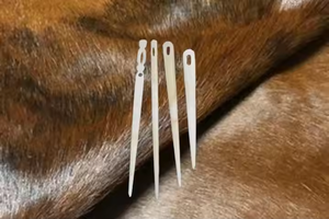 Aguja de Hueso Ecológica para Bordado Decorativo, Pulida con Precisión - Product Image 3