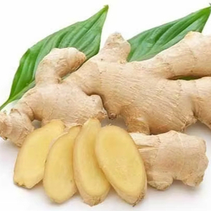 Factory Gate Price Hot Sell High Quality Wholesale Outstanding Quality Bulk <b>Fresh</b> Ginger Organic <b>Fresh</b> <b>Vegetable</b> Ginger in Bulk - Product Image 1