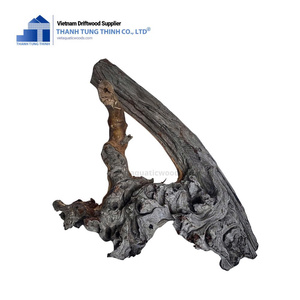 ไม้ลอยน้ำธรรมชาติคิมจิ ตกแต่งตู้ปลาแบบรักษ์โลก สำหรับเต่าและใช้งานกลางแจ้ง จากเวียดนาม - Product Image 2