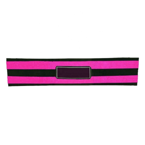 Bandas de Resistencia con Logotipo Personalizado para Entrenamiento de Fuerza, Rehabilitación, Estiramiento, Fisioterapia y Equipamiento de Gimnasio Comercial - Product Image 2