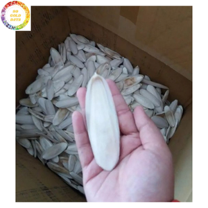Os de Seiche Naturel Séché de Haute Qualité VF – Matériau à Mâcher Premium pour Cage de Perroquet, Budgie, Canaris, Pinson et Perruche - Product Image 3