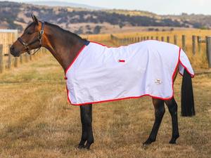 Alfombras de equitación de último diseño, cómodas y cálidas, con logotipo personalizado OEM, relleno de algodón, venta al por mayor, las mejores alfombras de invierno personalizadas - Product Image 6