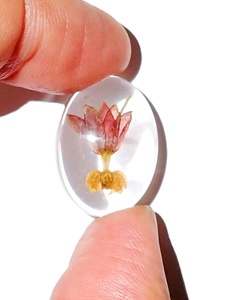 Cabujón de Plástico Transparente con Forma Ovalada de Flor de Milkweed Tropical, 18x25 mm, Base Plana para Manualidades y Joyería - Product Image 2